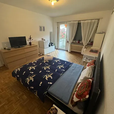 Studiowpalheta * Zurich